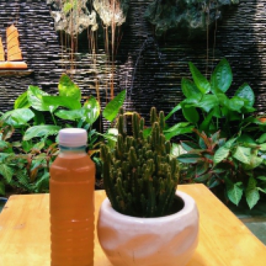 Coffee and beverage